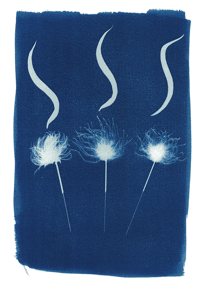 acupuncture cabinet médecine chinoise soin énergétique énergie massage santé bien-être approche holistique intégratif sion valais suisse