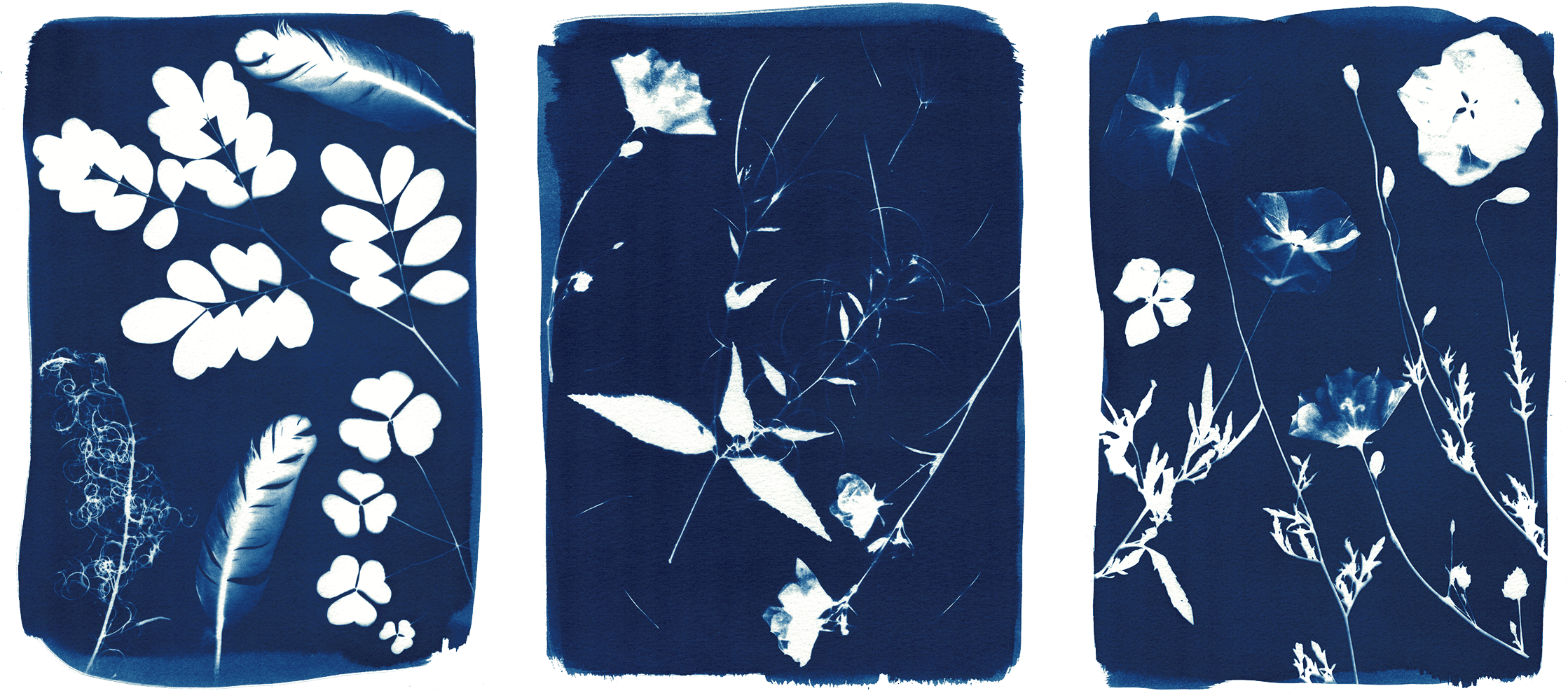 acupuncture cabinet médecine chinoise soin énergétique énergie massage santé bien-être approche holistique intégratif sion valais suisse